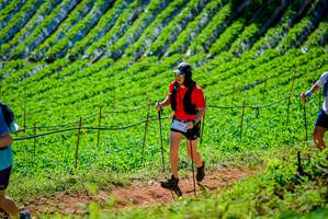 BIB: 
                            <button type="button" onclick="openModal(19163384)" class="btn btn-primary btn-sm float-right btn-popup" data-toggle="modal" data-target=".modal-high-quality">
                        <i class="fas fa-shopping-cart"></i> Add to Cart
                    </button>
                                            <button type="button" onclick="isThisMe(19163384, true)" class="btn btn-success btn-sm float-right btn-popup btn-isme hidden" data-toggle="tooltip" data-placement="bottom" title="นี่คือรูปของคุณใช่ไหม คลิกที่นี่เพื่อเอาเข้าอัลบั้ม">
                        <i class="fas fa-plus"></i> Add to album
                    </button>
                    <button type="button" onclick="isThisMe(19163384, false)" class="btn btn-warning btn-sm float-right btn-popup btn-isnotme hidden">
                        <i class="fas fa-ban"></i> Remove from album
                    </button>